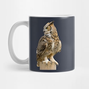 The great owl Mug
